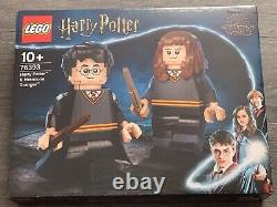 LEGO Harry Potter Harry PotterT & Hermione GrangerT (76393) Brand New Rare Set