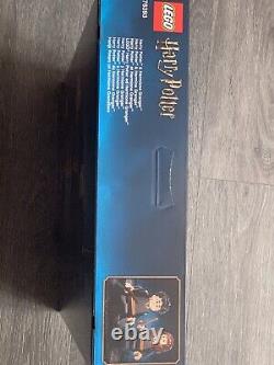LEGO Harry Potter Harry PotterT & Hermione GrangerT (76393) Brand New Rare Set