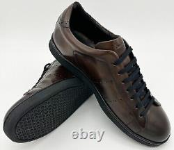 Paul Smith Dark Brown Leather Trainers Shoes Rare New Boxed Uk10 Eu44 Us11