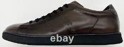 Paul Smith Dark Brown Leather Trainers Shoes Rare New Boxed Uk10 Eu44 Us11