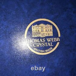 RARE 10 THOMAS WEBB CUT GLASS crystal WARWICK Square decanter NEW BOXED SIGNED