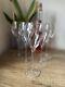 Ruinart Champagne Lehmann Cristallin Premium 23 Cl Flutes Rare X 6 New & Boxed