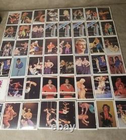 SUPER RARE! 1988 Wonderama NWA/WCW Wrestling Cards Wax Box 48 Packs