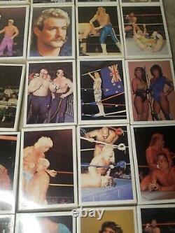 SUPER RARE! 1988 Wonderama NWA/WCW Wrestling Cards Wax Box 48 Packs