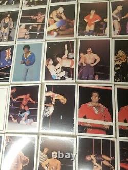 SUPER RARE! 1988 Wonderama NWA/WCW Wrestling Cards Wax Box 48 Packs