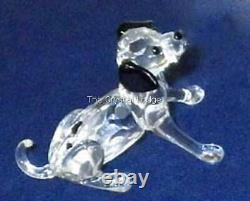 Swarovski Crystal Dalmatian Puppy Sitting 628909 Mint Boxed Retired Rare