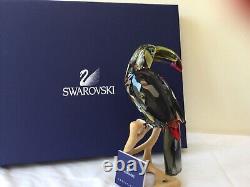 Swarovski Crystal Paradise Birds Rare Toucan Black Diamond 850600 New B. N. I. B