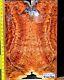 Western Red Box Burl Guitar Top Bookmatched Set Luthier Supplies Super Rare