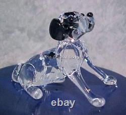 Chiot dalmatien assis en cristal Swarovski 628909 - Boîte menthe, retiré et rare